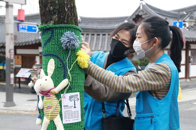 자원봉사자들이 전주한옥마을 가로수에 나무 옷을 입히고 있다. <한겨레> 자료