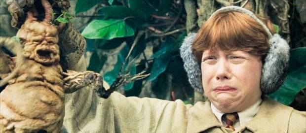 영화 ‘해리포터’에 등장하는 소리를 지르는 식물 ‘맨드레이크’.