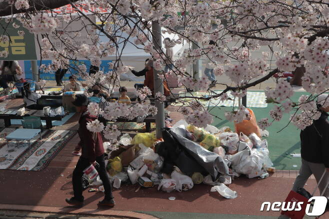 벚꽃을 구경하는 상춘객들 옆으로 쓰레기가 가득 쌓여 있다. 2023.04.01/ⓒ 뉴스1 박건영 기자