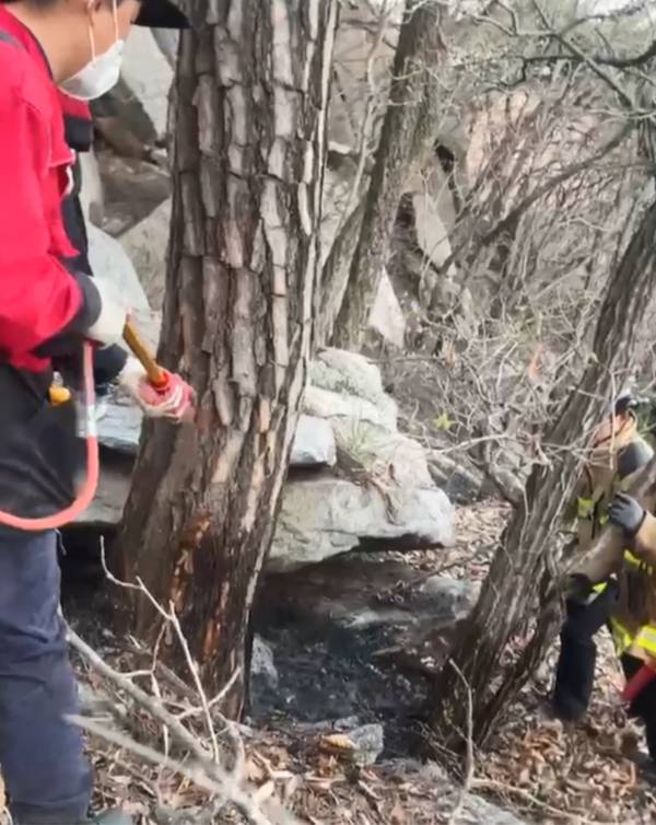 불이 난 마니산 바위틈 [강화군 제공]