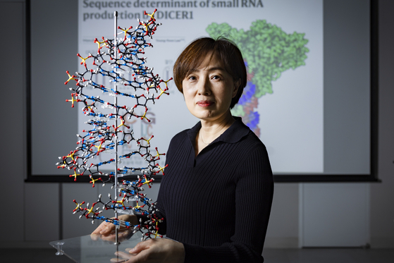 김빛내리 서울대 교수 겸 IBS RNA연구단장이 참여한 ‘다이서 단백질’ 연구 결과 2편이 지난 2월 네이처에 동시 게재됐다. 전민규 기자