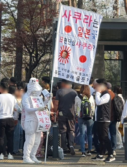 2일 서울 송파구 석촌호수공원에 '사쿠라는 일본 꽃'이라며 1인 시위를 하는 남성이 등장했다. 사진=온라인 커뮤니티 갈무리