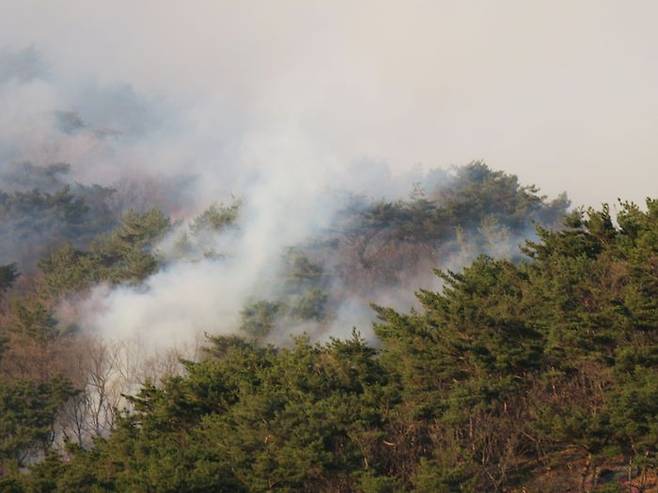 지난달 26일 산불 당시 인천 강화군 마니산.ⓒ뉴시스