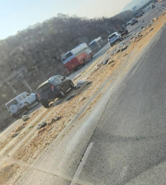 음식물쓰레기를 여러 차들이 밟고 지나가 인근 고속도로가 더러워진 모습. /사진=온라인 커뮤니티 '보배드림' 캡처