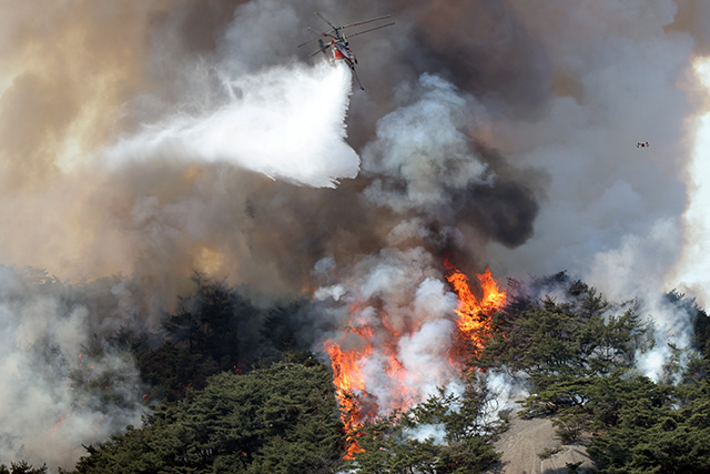 ▲ 2일 오전 인왕산에서 화재가 발생했다. 소방 당국은 헬기 등을 동원해 화재 진압에 나섰다. ⓒ연합뉴스