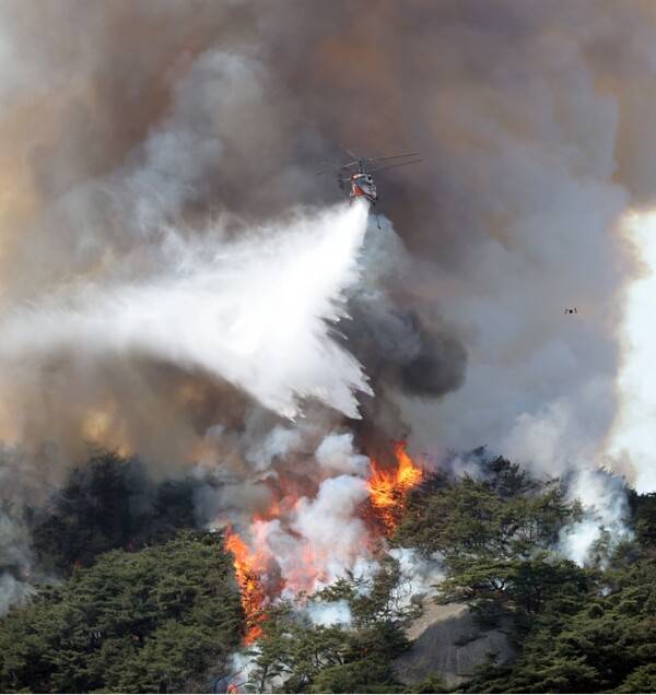 인왕산 기차바위 부근에서 발생한 산불을 소방헬기가 진화하고 있다. 사진 연합뉴스