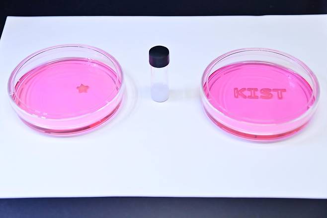 KIST, 광경화 과정 없는 바이오프린팅 잉크 개발 [KIST 제공. 재판매 및 DB 금지]