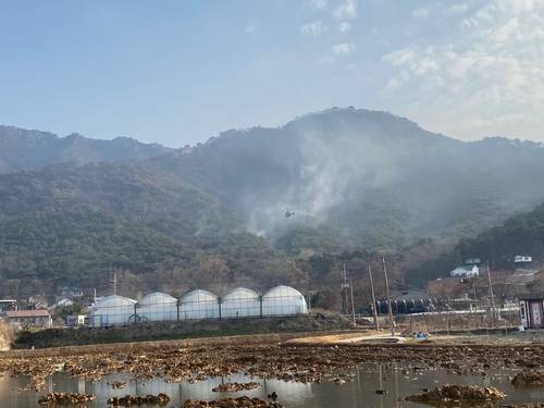 강화도 마니산 불 [독자 제공]