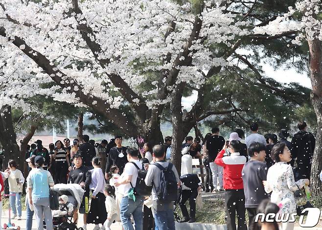 (사진은 기사 내용과 무관함) / 뉴스1 ⓒ News1