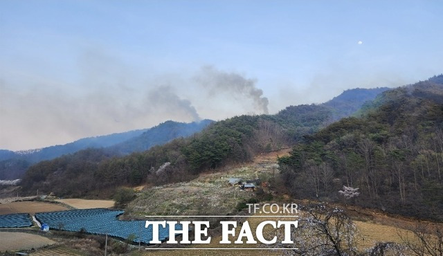 불이 나자 산림 및 소방당국은 오후 4시 40분쯤 '산불 2단계'를 발령하고 헬기 17대와 장비 70대,인력 563명을 투입해 해질녘까지 진화를 시도했다. /영주=이민 기자