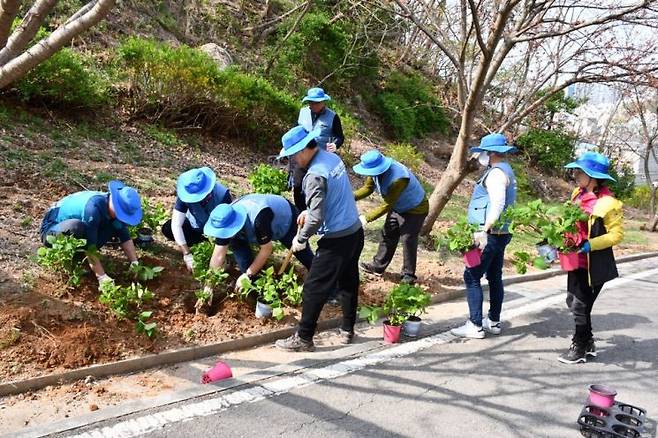 포항제철소 임직원들이 창립 55주년을 맞아 환호공원에서 수국 200주를 심고 있다.