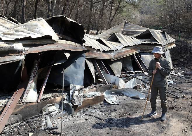 산불 피해를 본 대전 서구 산직동 한 주민이 3일 오후 불에 탄 자신의 집을 살피고 있다. /연합뉴스
