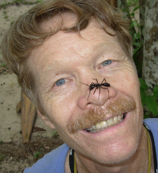 미국 곤충학자 겸 화학생태학자 저스틴 슈미트는 '독침의 제왕'이라 불렸다. 그는 개미와 벌의 독이 종의 진화, 특히 진사회성 획득의 비밀을 풀어줄 결정적인 열쇠라는 자신의 가설을 검증하기 위해 100여 종의 독충에게 1,000번 이상 직접 쏘이거나 물렸다. 그가 만든 '슈미트 독침 통증지수'가 유명하다. npr.org, 저스틴 슈미트 사진.