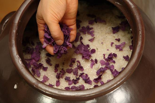 국가무형문화재 면천두견주 [문화재청 국가문화유산포털 제공. 재판매 및 DB 금지]