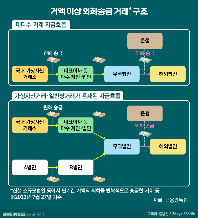 이상 외화송금 구조/그래픽=비즈워치