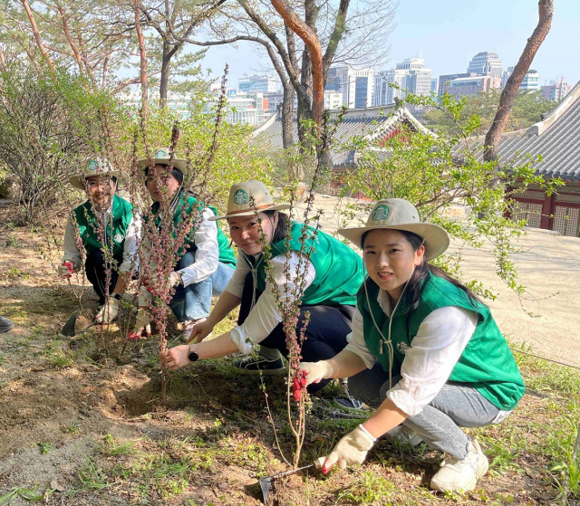 스타벅스 임직원들이 3일 서울 창경궁을 찾아 나무를 심고 있다. 사진 제공=스타벅스코리아