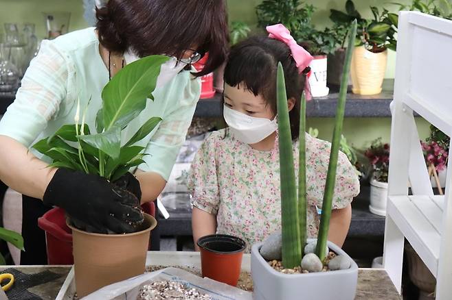 반려식물 치료센터 자료사진  [대구시 제공. 재판매 및 DB 금지]