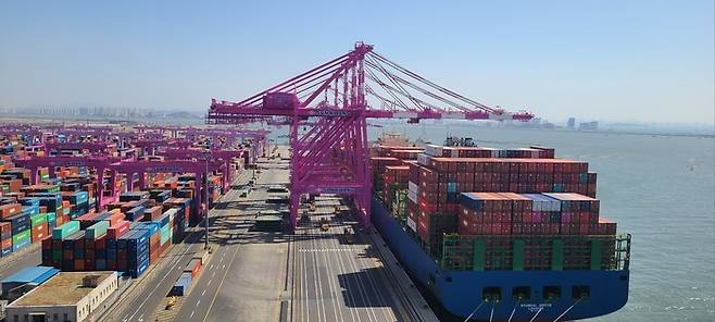 인천신항에 있는 안벽 크레인. 항만 노동자 B씨 제공