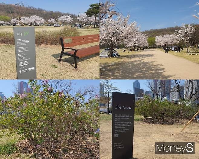 서울 송파구와 영등포구 등 한강공원 각지에 9개의 스타숲이 조성됐고 QR코드를 통해 각 스타숲의 특징과 상세정보를 확인할 수 있다. 사진은 서울 마포구에 마련된 도영숲과 영등포구에 조성된 석진숲. /사진=정원기 기자