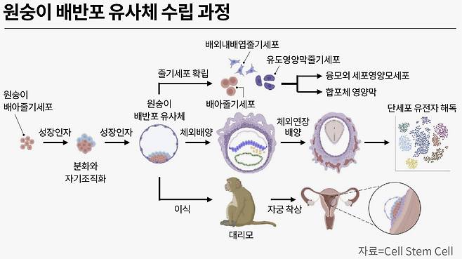 그래픽=손민균