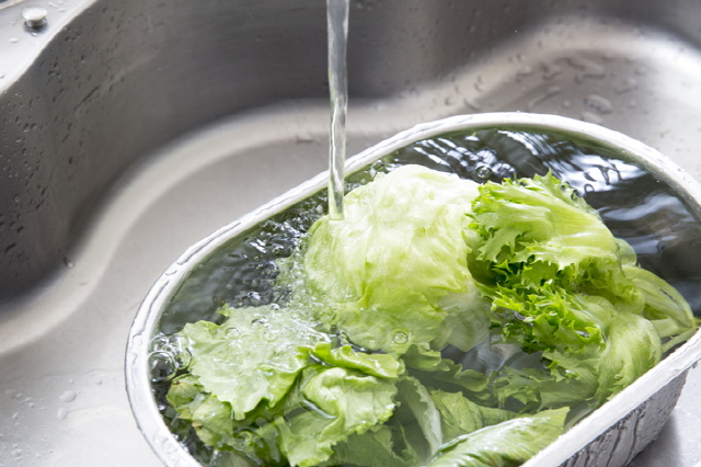 시든 채소를 식초, 설탕을 넣은 찬 물에 10~20분 담그면 싱싱해진다/사진=게티이미지뱅크