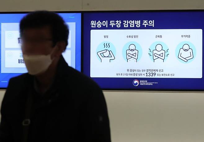 15일 오후 인천국제공항 1터미널 출국장 전광판에 원숭이 두창 감염에 대한 안내가 나오고 있다. 2022.11.15/뉴스1 ⓒ News1 김진환 기자 /사진=뉴스1