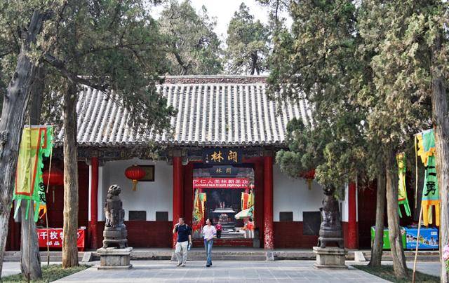 관림의 의문. ⓒ최종명