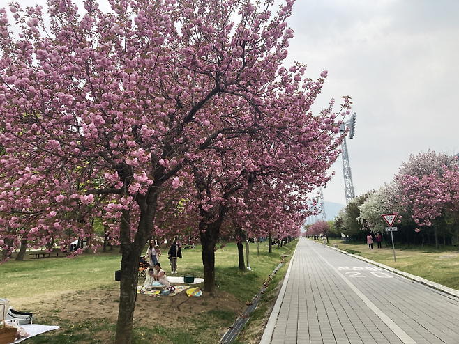 [사진=국민체육진흥공단]