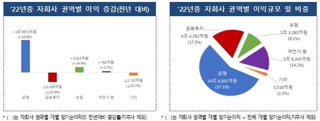 [금융감독원 제공]