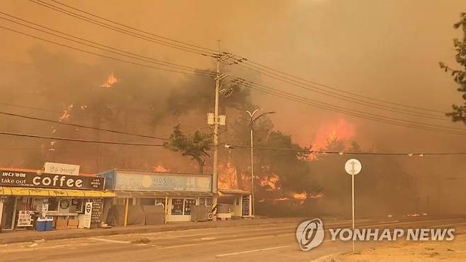 11일 오전 현재 강원도 강릉시 난곡동 야산에서 발생한 산불이 주택가로 번지고 있다. 사진=연합뉴스