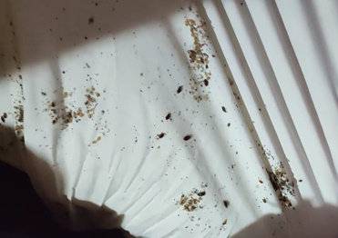 논란이 된 서울 한 모텔의 침대 시트 [사진출처=온라인 커뮤니티 보배드림 캡처]