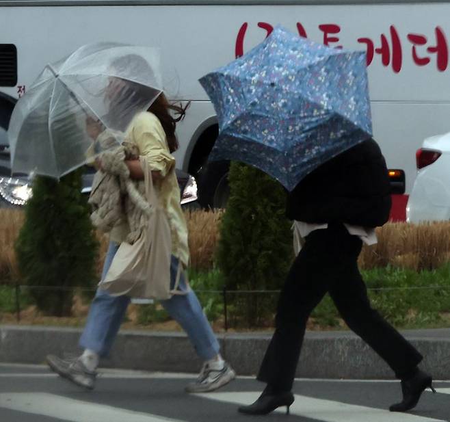 11일 오전 서울 시내에서 시민들이 우산으로 비바람을 피하고 있다. 기상청은 이날 전국에 강풍을 예보했다.ⓒ연합뉴스