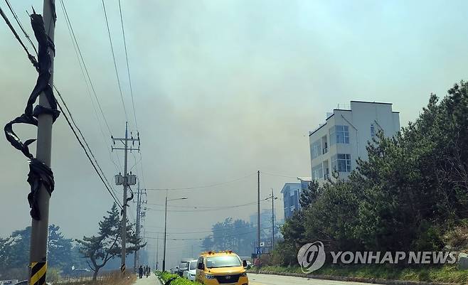 강릉 산불 강풍타고 확산 (강릉=연합뉴스) 이종건 기자 = 11일 강원 강릉시 난곡동의 한 야산에서 난 산불이 확산되는 가운데 해안도로가 연기에 휩싸여 있다. 2023.4.11 momo@yna.co.kr