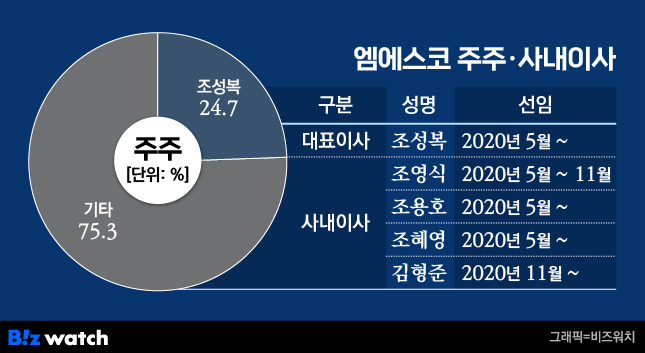 엠에스코 주주, 사내이사