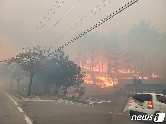 지난 11일 오전 8시 20분쯤 강원 강릉 난곡동의 한 야산에서 발생한 산불.(강원도소방본부 제공)2023.4.11/뉴스1 ⓒ News1 한귀섭 기자