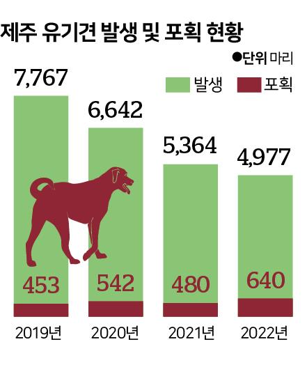 시각물_제주 유기견 발생 및 포획 현황