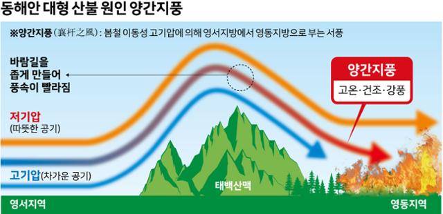 동해안 대형 산불 원인 양간지풍.