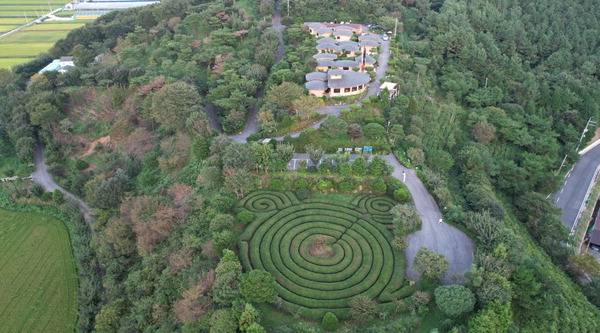 드론으로 찍은 골망태펜션·정원. 사진의 상단부분은 황토방 펜션건물들이며, 하단부분은 녹차나무로 조성된 미로정원이다.