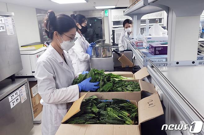 광주시 보건환경연구원 연구원들이 지역 농산물에 대한 잔류농약 검사를 하고 있다.(광주시 제공)2021.7.14/뉴스1 ⓒ News1 박준배 기자