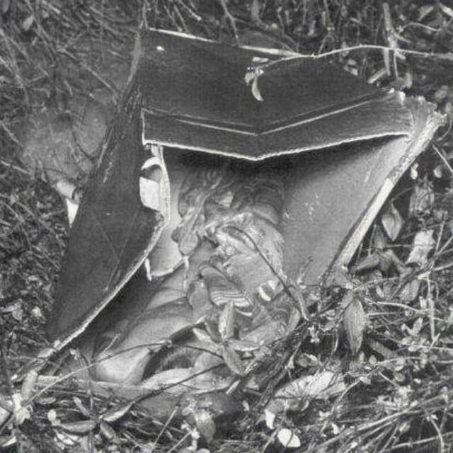 1957년 2월 미국 필라델피아에서 벌거벗은 채 담요에 싸인 모습으로 발견됐던 '상자 속 소년'. 위키미디어 커먼즈 캡처