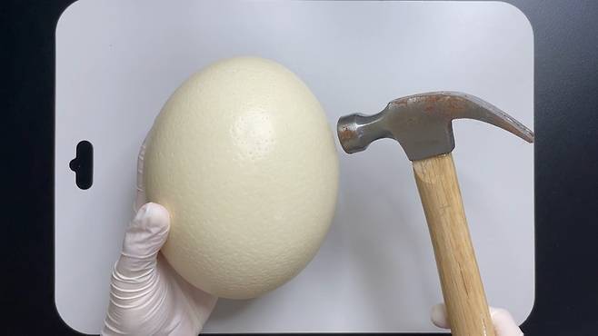 [서울=뉴시스]지난달 30일, 유튜버 '수상한 생선(본명 김준연)'이 강남의 한 카페에서 뉴시스와 인터뷰를 가졌다.(사진=수상한 생선 제공) 2023.04.10. photo@newsis.com *재판매 및 DB 금지