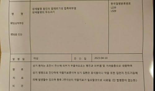 A씨가 받은 병원 진단서. 병원은 두드러기가 집 먼지 진드기 등에 의해 발생할 수 있다고 명시하고 있다.연합뉴스 제공