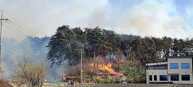 강풍경보와 건조경보가 동시에 내려졌던 강릉 야산에서 11일 화재가 발생한 사진. [연합]