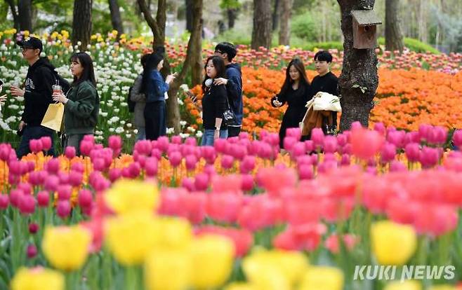 "서울숲, 튤립도 사랑도 만개" 비가 그친 15일 오후 성동구 서울숲에 산책나온 젊은이들이 만개한 튤립정원을 산책하고 있다. 서울숲에는화려한 컬러의 튤립 군락 외에도 수선화나 양귀비, 물망초 등 다양한 꽃들이 곳곳에 심겨져 저마다의 자태를 자랑한다.