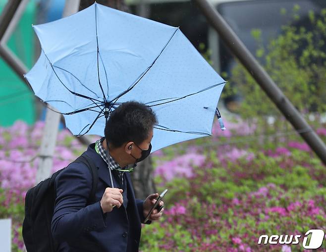 전국에 강풍이 몰아치고 있는 11일 서울 청계광장 인근에서 시민들이 쓴 우산이 뒤집히고 있다.ⓒ News1 신웅수 기자