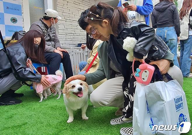 내추럴발란스 블루엔젤봉사단이 참여한 '동물보호소 돕기 바자회'가 16일 서울 강남구 애견카페에서 진행됐다. ⓒ 뉴스1 최서윤 기자