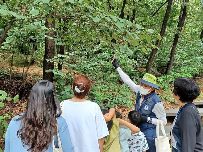 서울시의 숲 해설 프로그램 현장 장면. [서울시 제공]