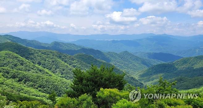 1052고지에서 바라본 맑은 날의 금강산 [설악금강서화마을 제공. 연합뉴스 자료사진]