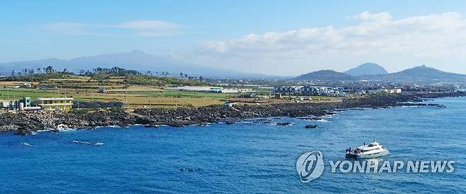 '제주 바다엔 남방큰돌고래가 산다' (서귀포=연합뉴스) 박지호 기자 = 12일 오전 제주 서귀포시 대정읍 앞바다에서 관광객들이 배를 타고 남방큰돌고래 무리를 관찰하고 있다. 2019.11.12 jihopark@yna.co.kr