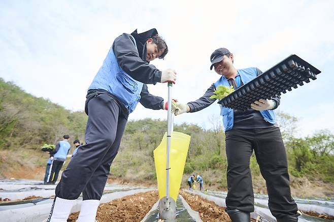 [KT&G 제공, 재판매 및 DB 금지]